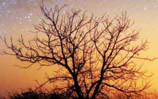 气笑了，我以为找到了云体育入口，结果被带去换皮页：4个快速避坑