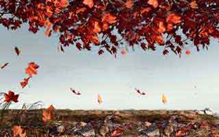 提醒一下…华体会app安装包自检清单…官方不会这么催你