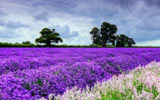 气笑了，我以为找到了云体育入口，结果被带去换皮页：4个快速避坑