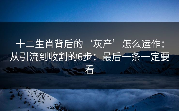 十二生肖背后的‘灰产’怎么运作：从引流到收割的6步：最后一条一定要看